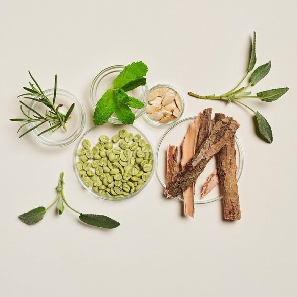 INNERSENSE Organic Beauty - Hair Renew Scalp Balance Duo | Hairbath & Conditoner - Picture 3 of 6